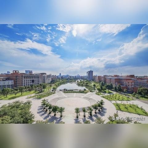 浙江家长车标改985现象透视：教育焦虑与心态转变